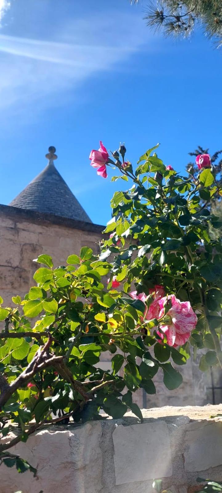 Il Trullo Delle Rose, Monopoli By Il Pumo Di Puglia Villa Cozzana Exterior photo